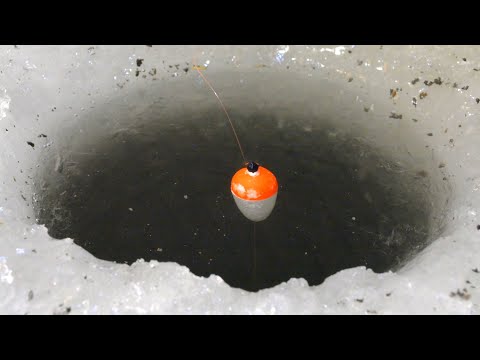 В ЭТУ ЛУНКУ...ОГРОМНЫЙ КАРАСЬ УТАЩИЛ ПОПЛАВОК! Зимняя рыбалка 2020