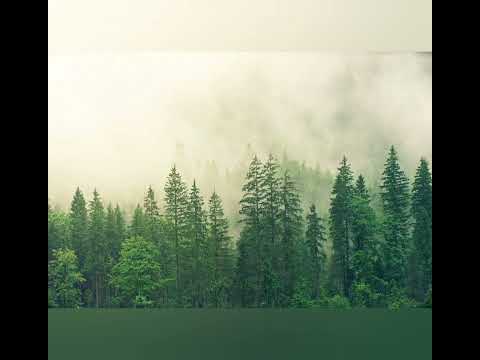 168 - H&L - Peuple chrétien, c'est le jour...