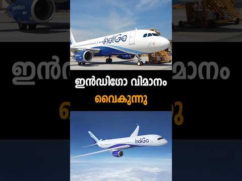 Latest News | 02/11/25 | Nation News Live#britain #indigo #congress #thiruvananthapuram #t20worldcup