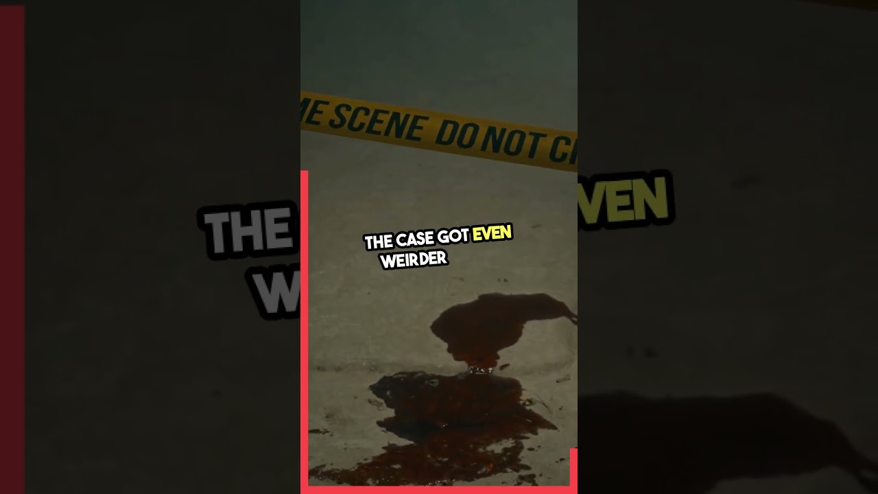 Tamam Shud: The Unsolved Cipher Mystery