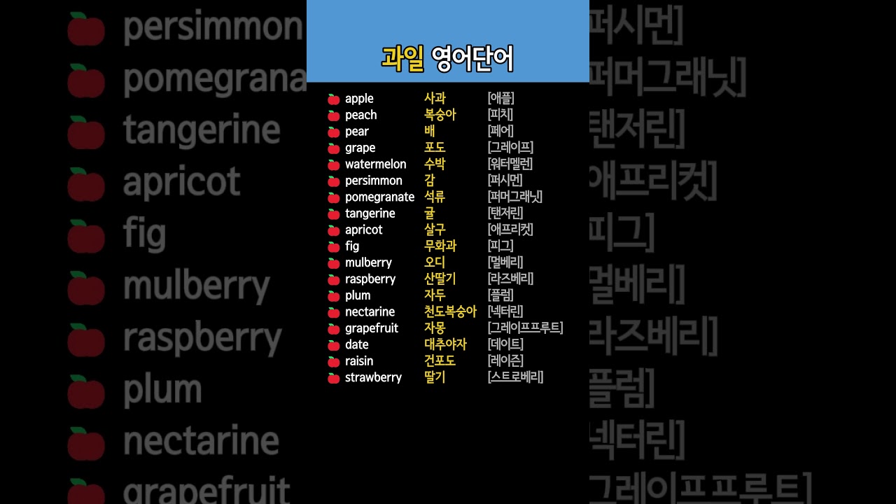 과일 영어단어 배우기 | 기초 영어 단어 하나씩 익혀보기
