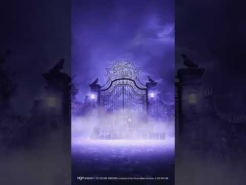 wednesday x bilou is back – ab jetzt wieder im Regal & im Online Shop🖤✨