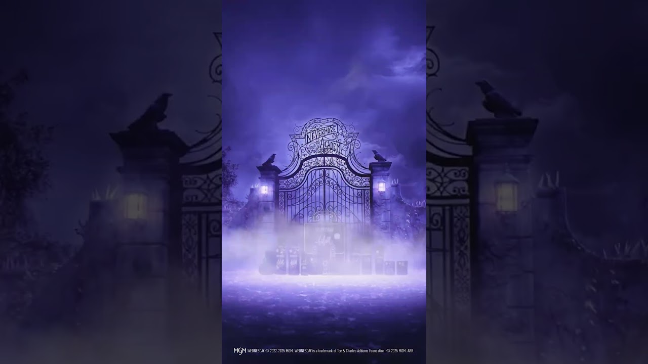 wednesday x bilou is back – ab jetzt wieder im Regal & im Online Shop🖤✨