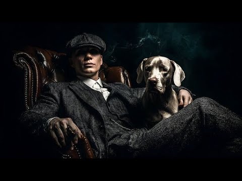 Gentleman Gangster Mafia Trap & Phonk Beats 🎶