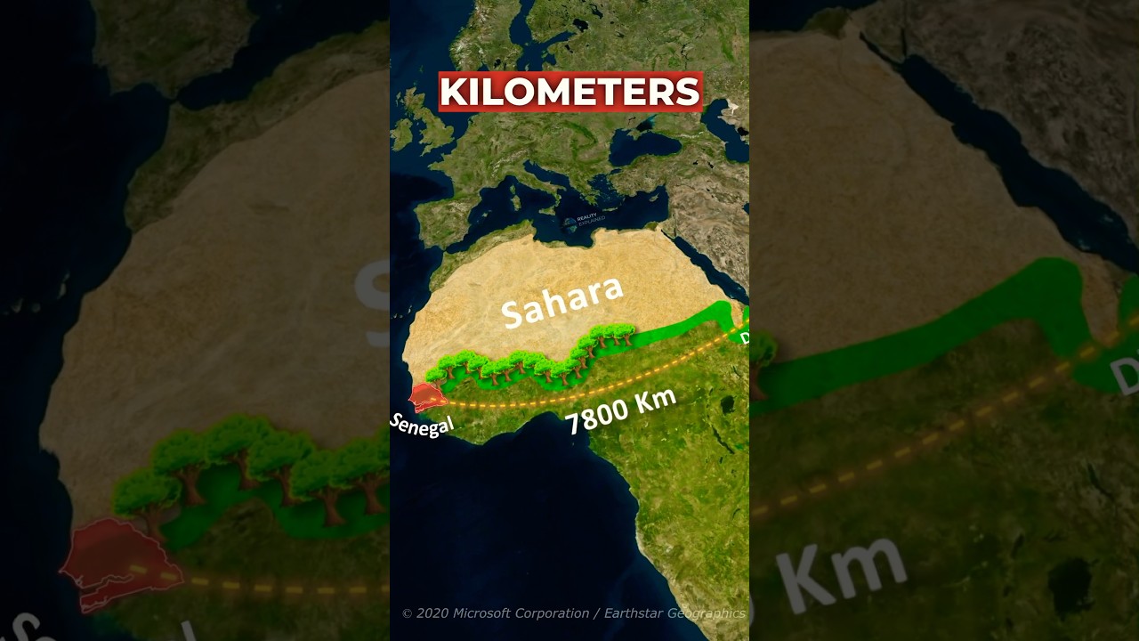 Africa's Green Wall Project 🌍 to Protect the Continent