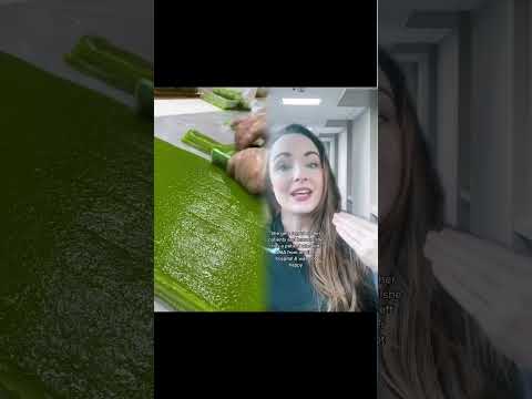 Heartwarming nursing story #3 ❤️ #nursingstories #heartwarmingstory