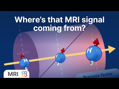 Phase encoding helps localize an MRI signal in the body - MRI physics explained