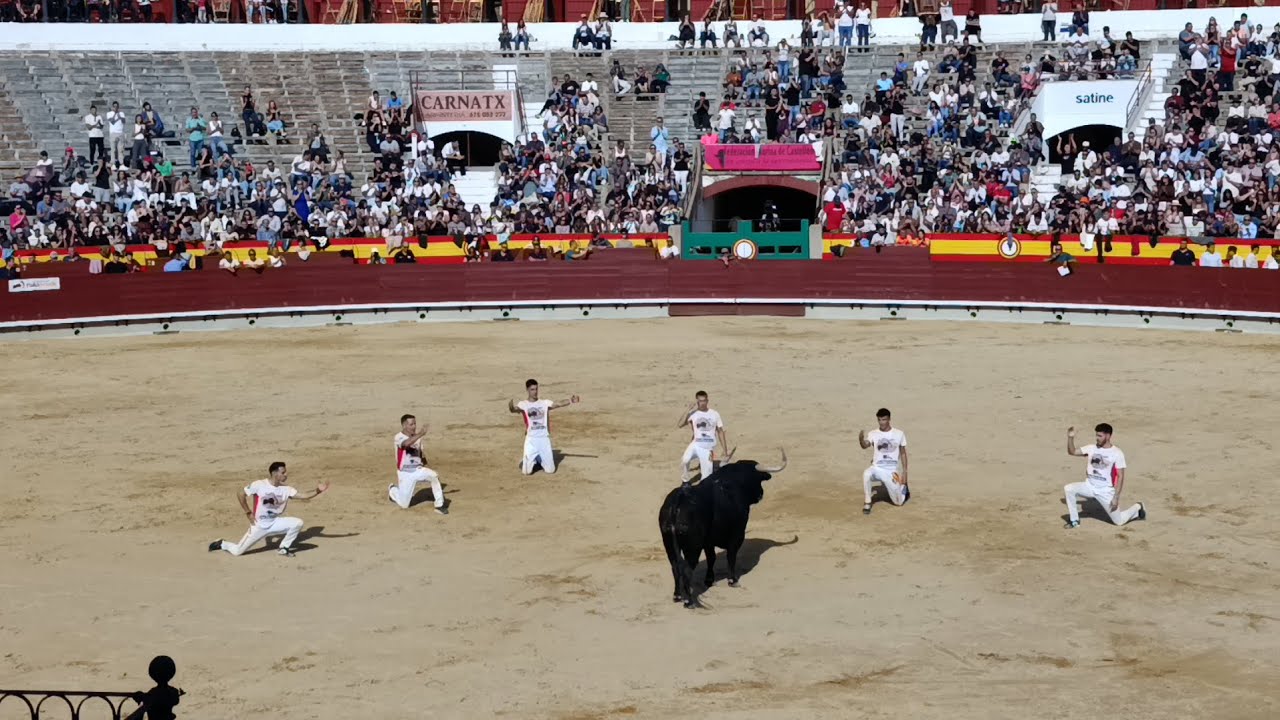 Final de Recortes en Castellón 2025 🐂