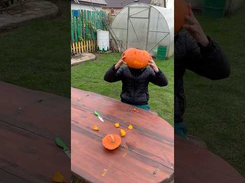 Жизнь на острове / 16 серия #остров #топ #этожизнь #реалити