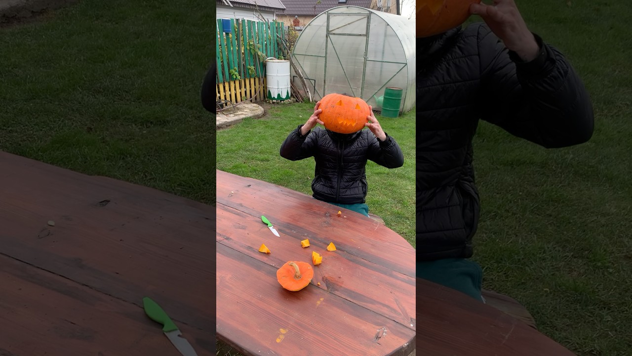 Жизнь на острове: 16 серия — Одиночество, природа и самопознание 🌿