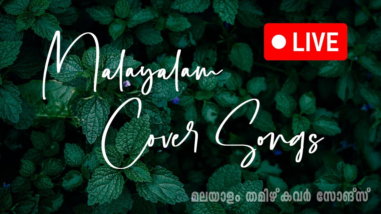 Relaxing Malayalam Cover Songs 🎶 | Unplugged & Soothing Music for Sleep & Relaxation
