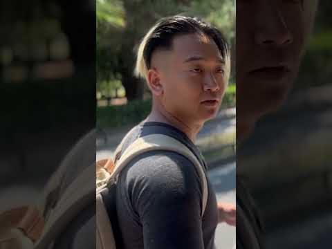 WE GOT SWARMED BY CATS! #catshorts #catlover #catlovers