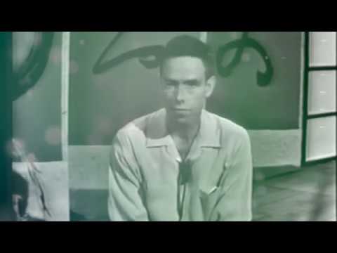 Alan Watts Lectures | Discipline of Zen