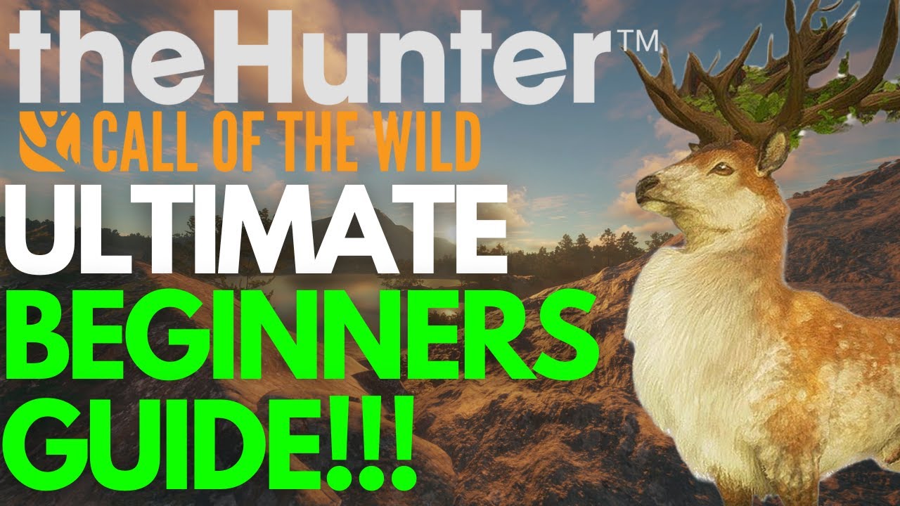 Beginner's Guide 2024 | theHunter Call of the Wild 🦌