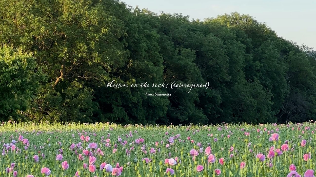 Serene Piano Playlist for a Quiet Life 🎶