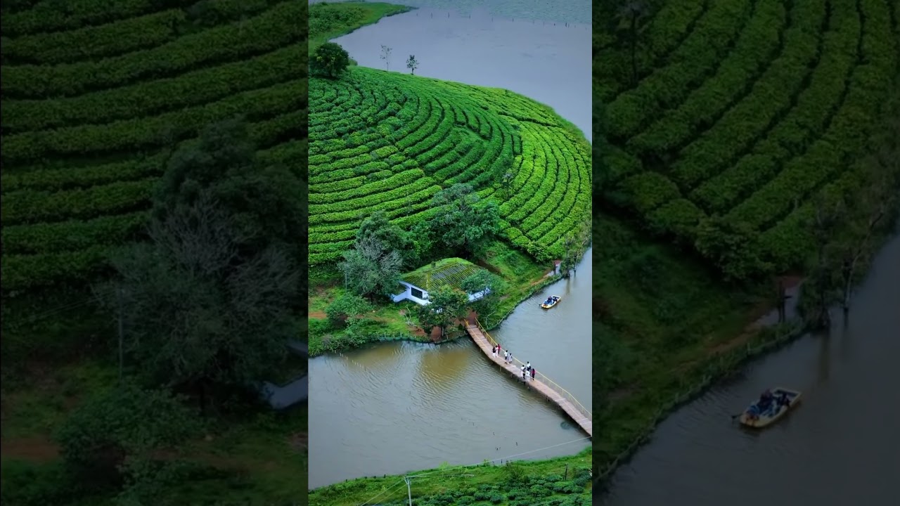 Explore Vagamon & Idukki with Traveller Mohammed 🚗