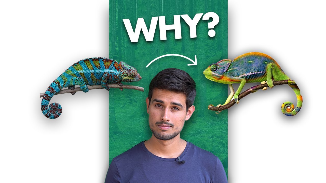 How Do Chameleons Change Color? 🦎