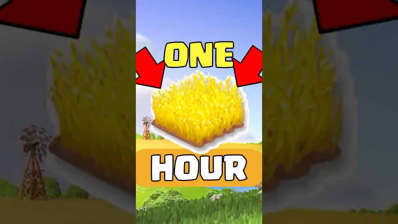 Hay Day: Rewards from One Hour of Wheating 🌾