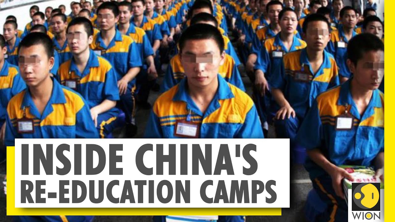 Uighurs Reveal China's Oppression 🌏