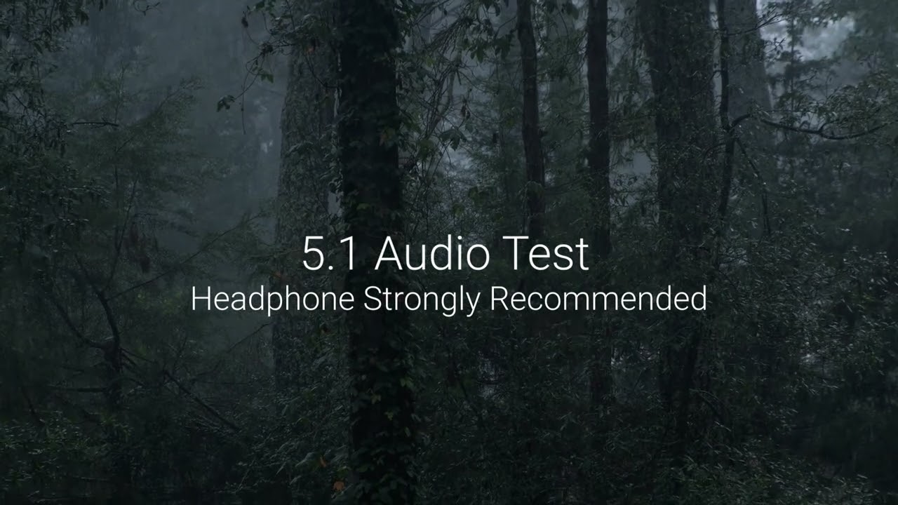 Dolby 5.1 Surround Sound Test 🎧