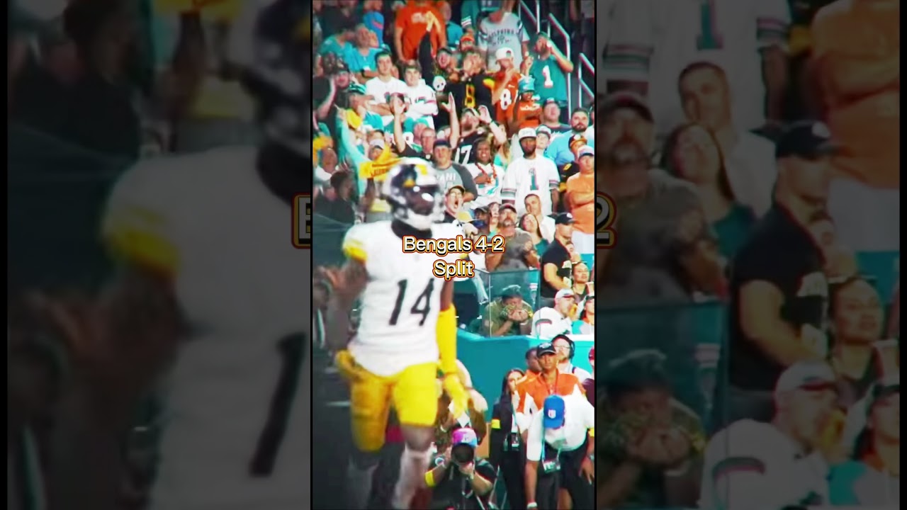 2024-2025 Pittsburgh Steelers Season Predictions 🏈