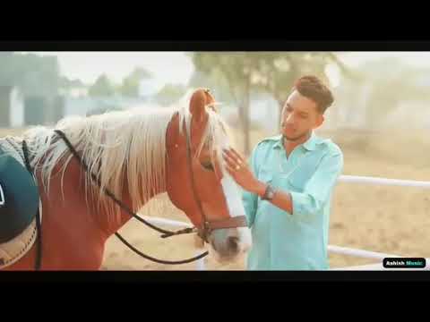 Chora Rajasthan Ka - New Song by Ashish Saini 🎶