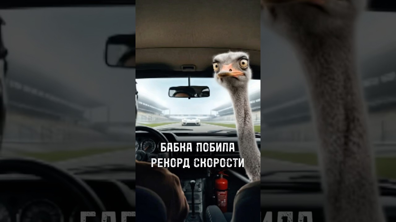 Бабушка на Жигулях установила рекорд скорости! 🚗 | Бабкин Патруль, серия 56