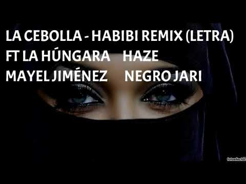 Habibi Remix - La Cebolla, La Húngara, Haze