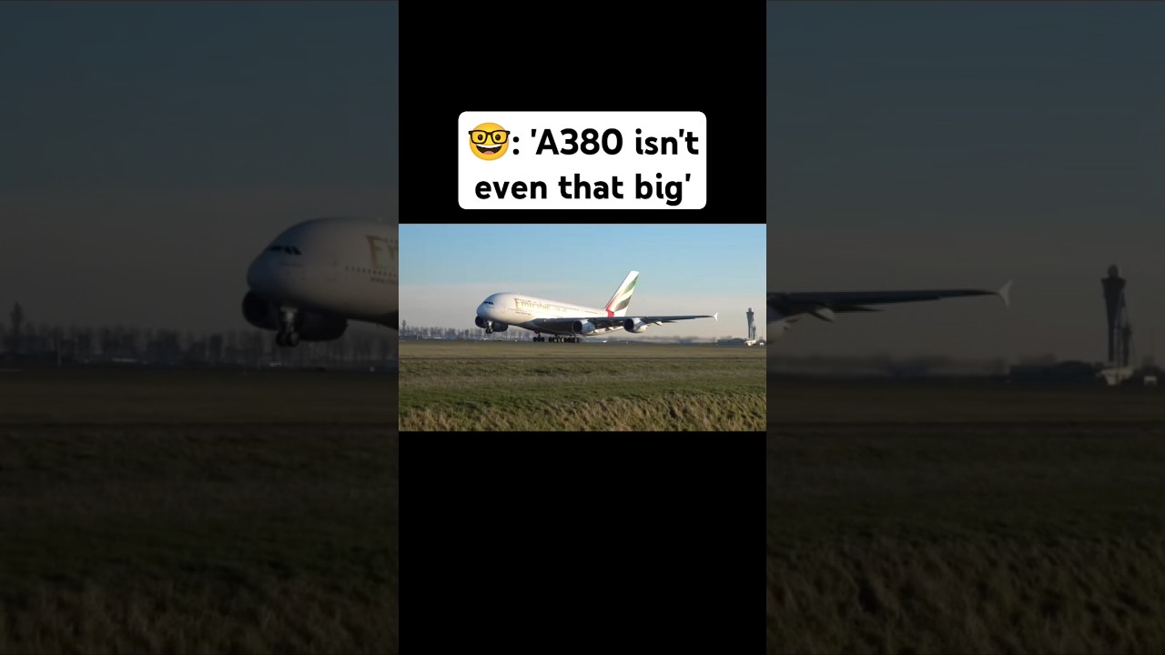 A380 Airbus A380: The Largest Commercial Aircraft