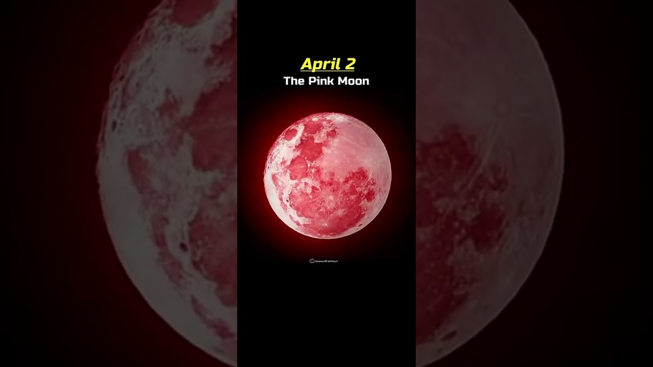 The Rare Full Moon 2026! 🌕🌜 #Shorts #Astronomy #Space #scienceofinfinity