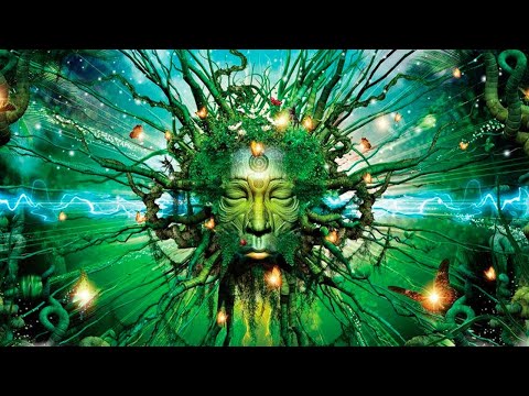 Муджи -За пределами Сознания, озвучивает [Nikosho]