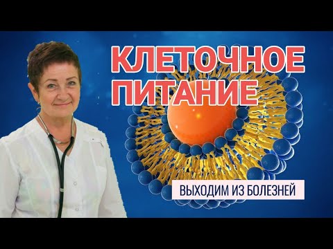 Клеточное питание - ключ к избавлению от болезней | Доктор Светлана Ищенко