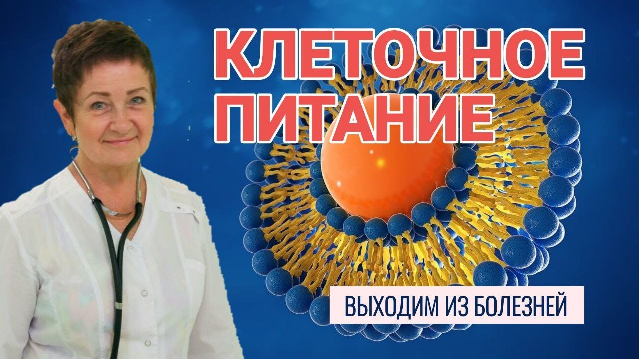 Клеточное питание: секрет здоровья и избавления от болезней 🧬