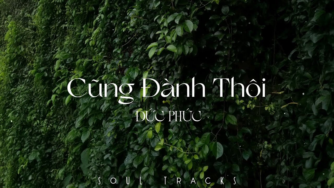 Những Bài Hit Chill TikTok: Cũng Đành Thôi & Hơn