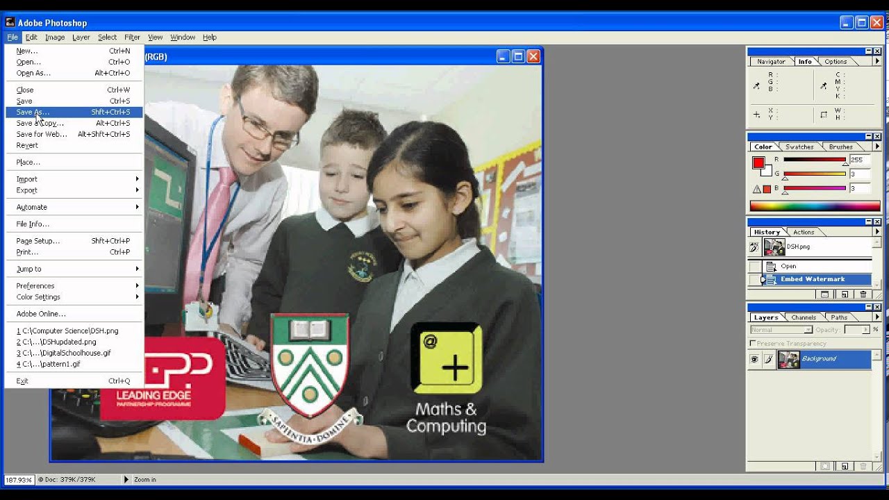 Understanding Digital Watermarks 🖥️