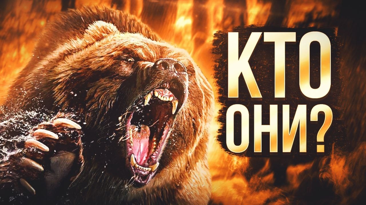 Медведи: Неизведанные тайны могучих хищников 🐻