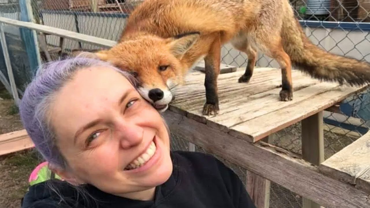 Animals Show Love Is the Path to Happiness ❤️