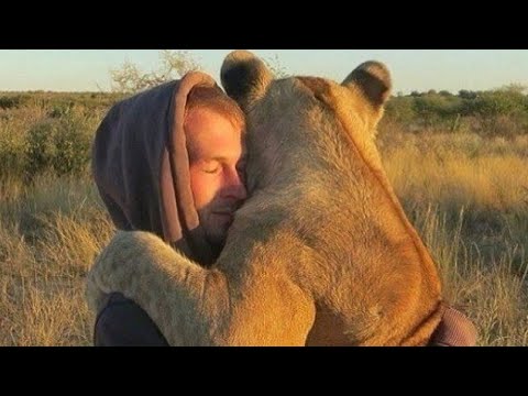 Adorable Animal & Human Hug Moments 🥰