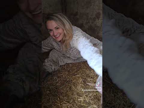 #amaliabellantoni #farming #pig #farm #farmlife