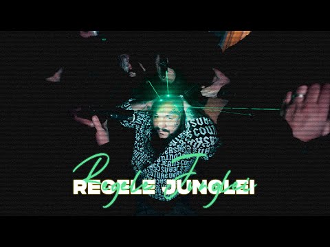 Dani Mocanu 🦁 Regele Junglei 👑 Official Video