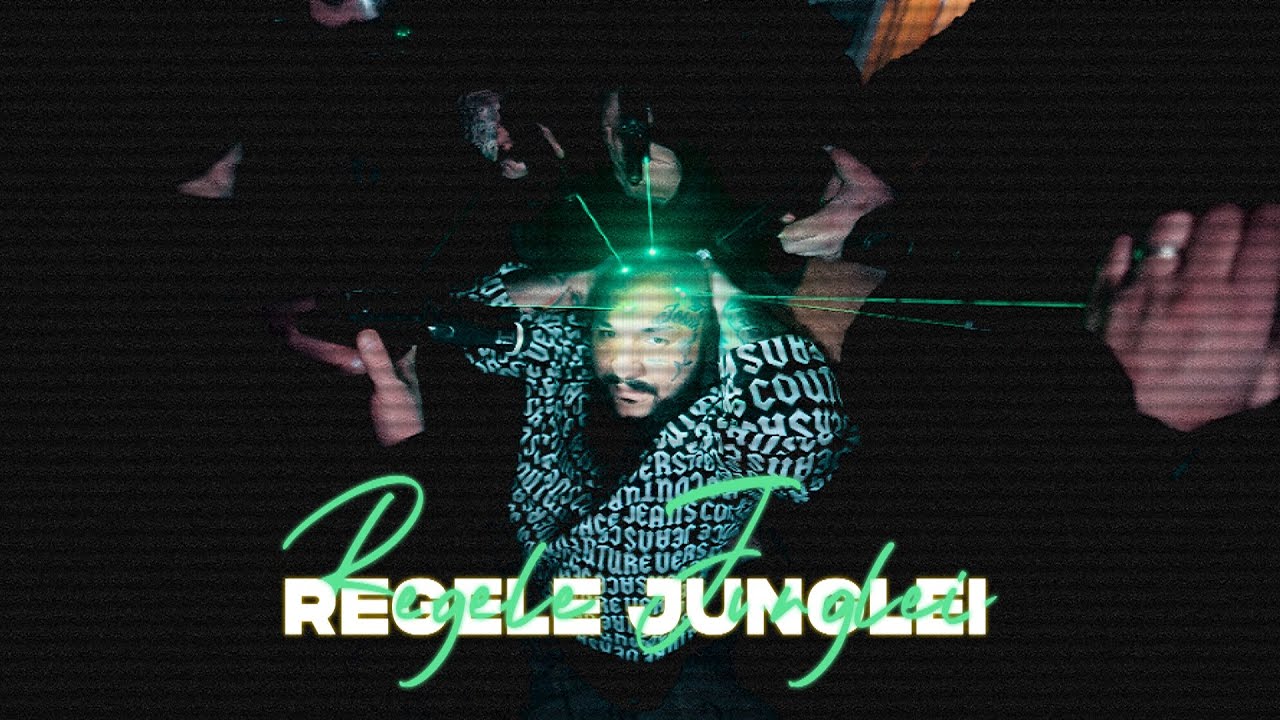Dani Mocanu - Regele Junglei 🦁 | Official Music Video