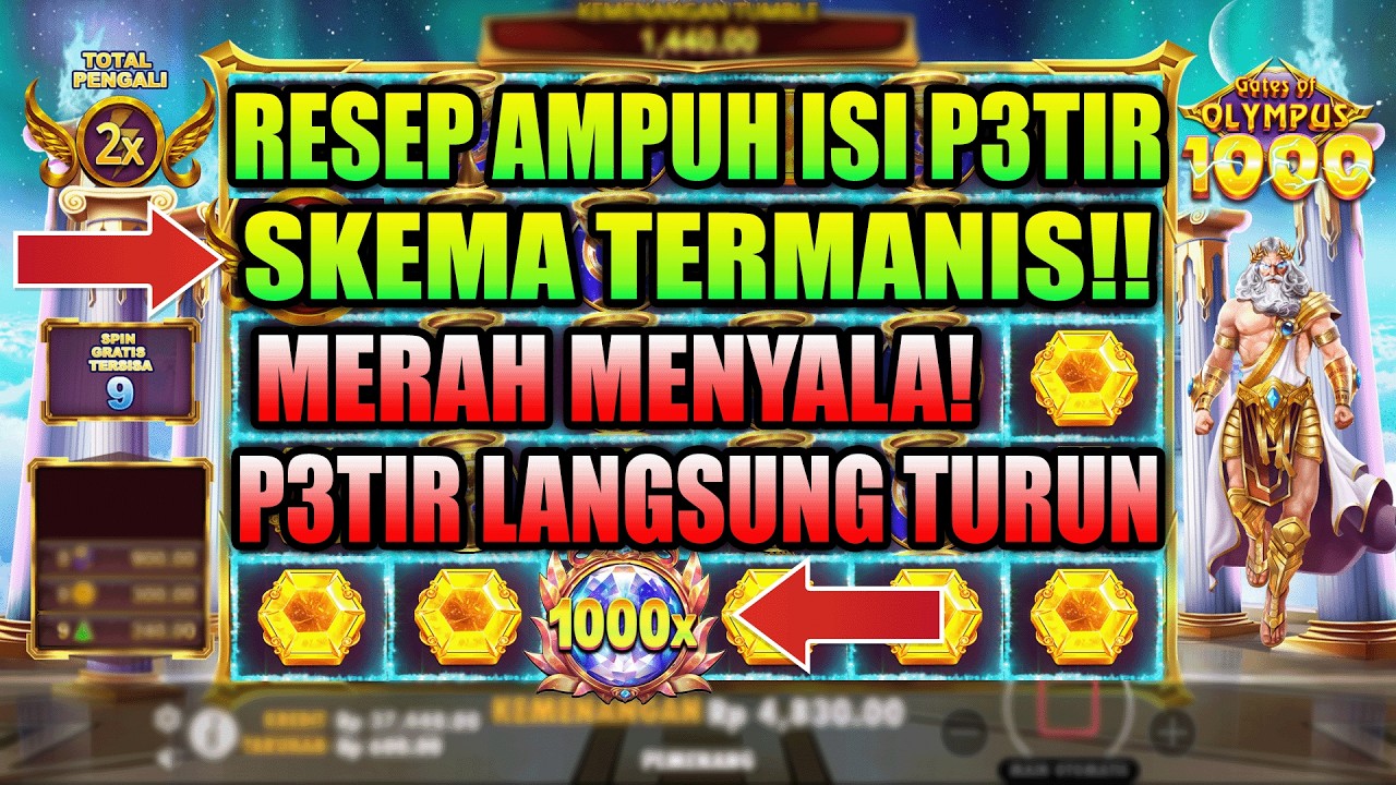 Skema Termanis & Pola Gacor Olympus Hari Ini ✨