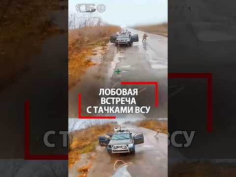 Разбитая техника ВСУ на дороге смерти Купянска! И тут такая встреча!