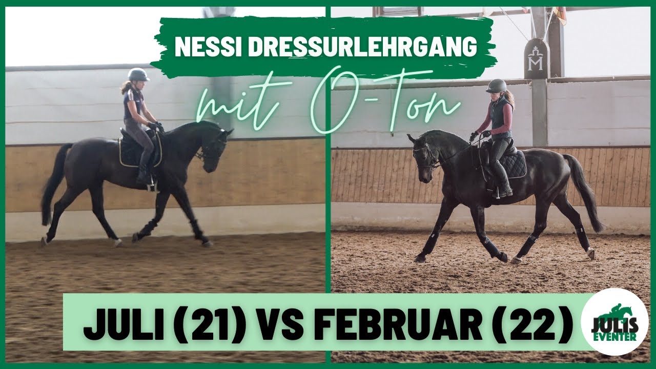 Dressurlehrgang mit Nessi & O-Ton 🎶