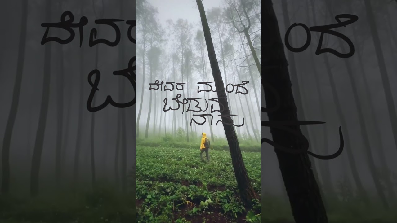 ನಾನೇ ನಿನ್ನಂತೆ - Kannada BRAT Song 🎶