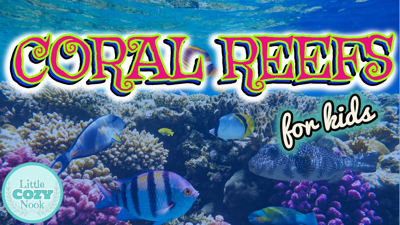 Coral Reefs for Kids 🌊 | Science Made Easy