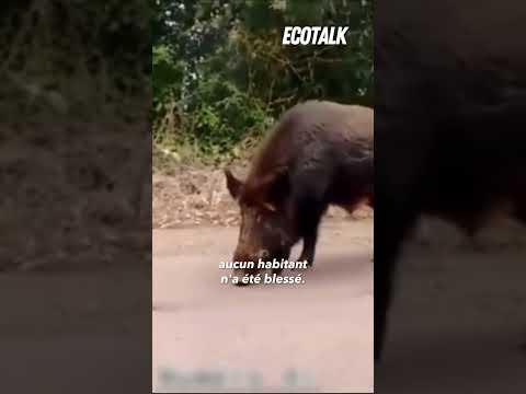 La chasse met tout le monde en danger…