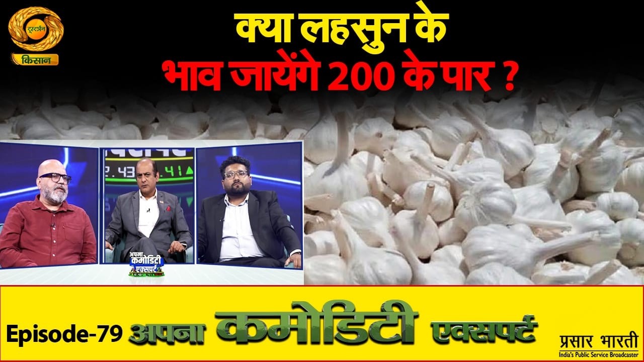 Apna Commodity Expert | क्या लहसुन के भाव जायेंगे 200 के पार? | DD Kisan | EP-79 | 27/03/2026