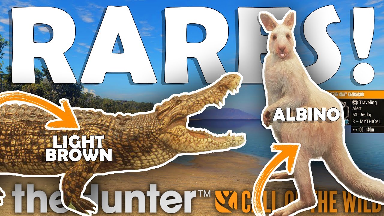 Rare Rares Hunt in Emerald Coast! 🦘🦎