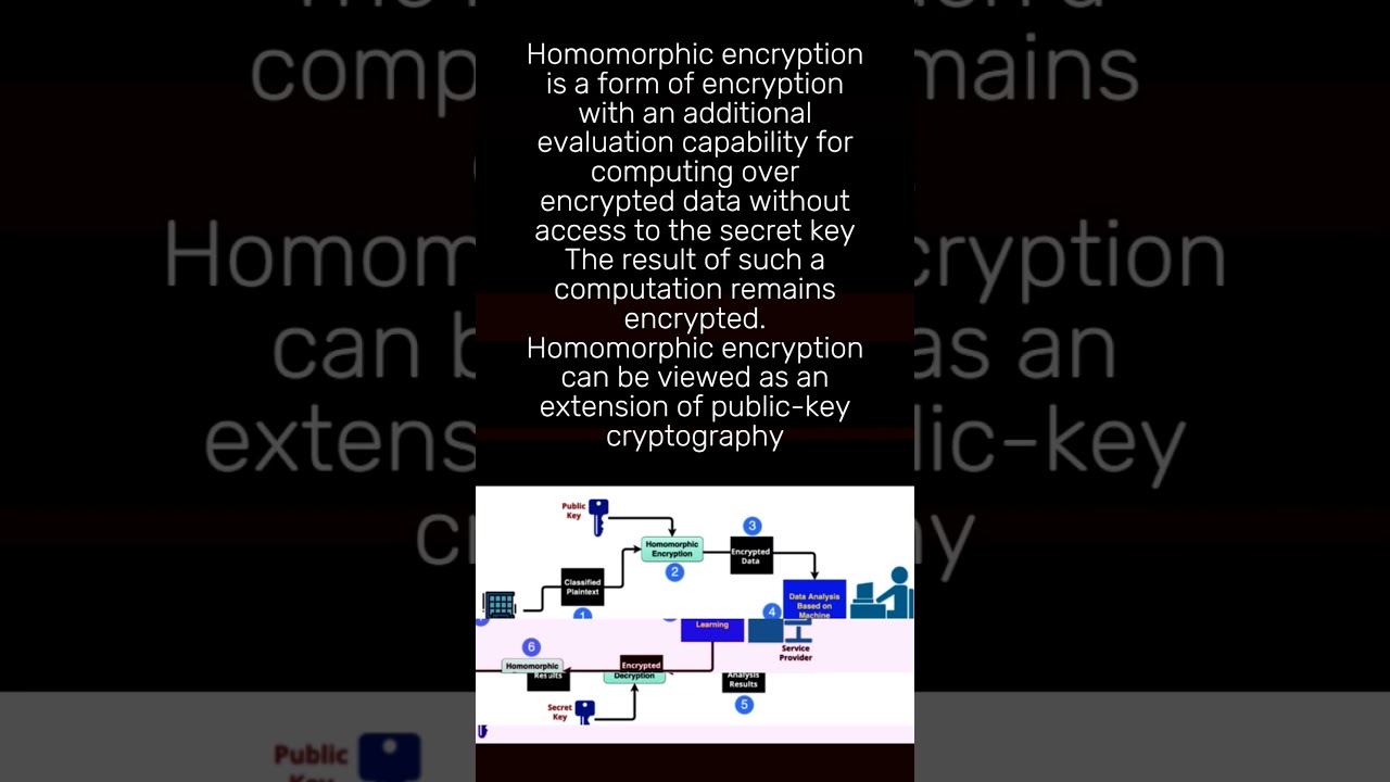 Discover DERO: The Future of Homomorphic Encryption 🔐